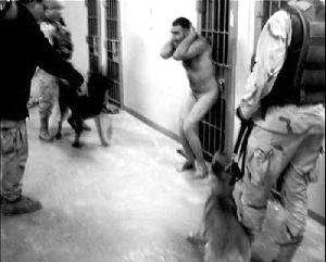 Originalfoto aus Abu Ghraib